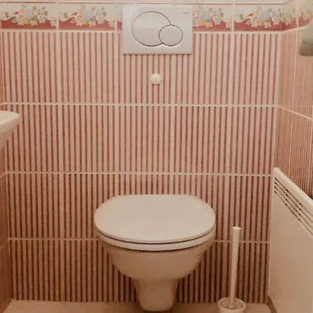 Vila Za Dvorem
